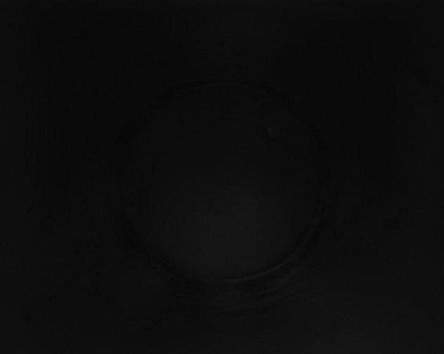 X0000115160266200911101756