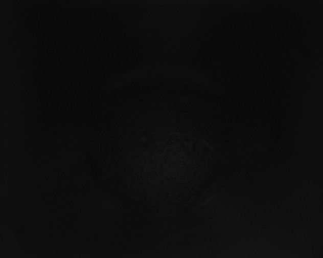 X0000115160267200911101756