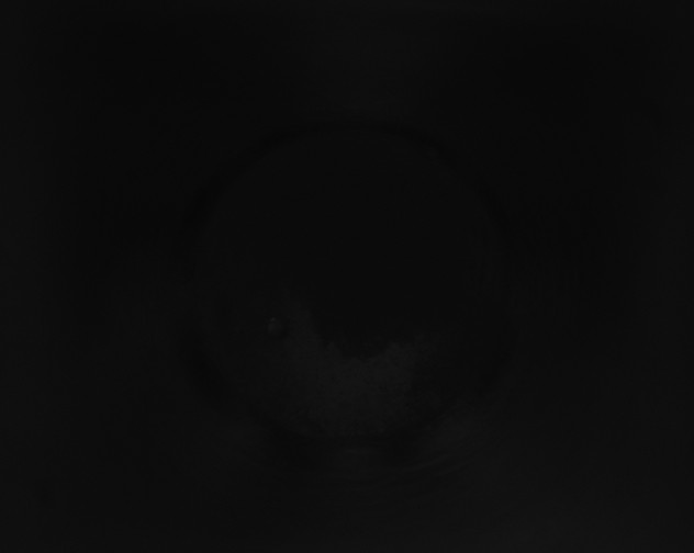 X0000115160268200911101756