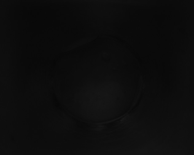 X0000115160269200911101756