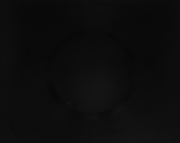 X0000115160274200911101756