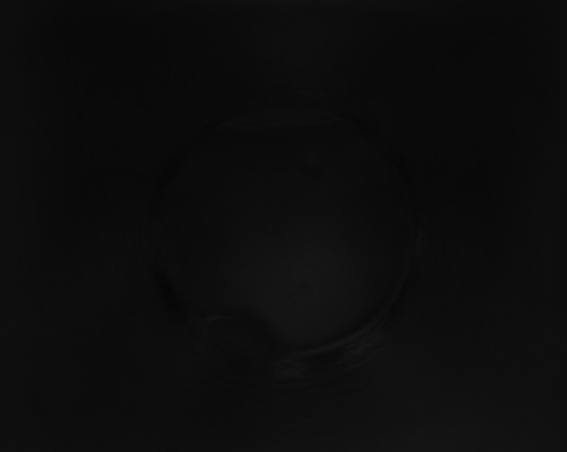 X0000115160275200911101756