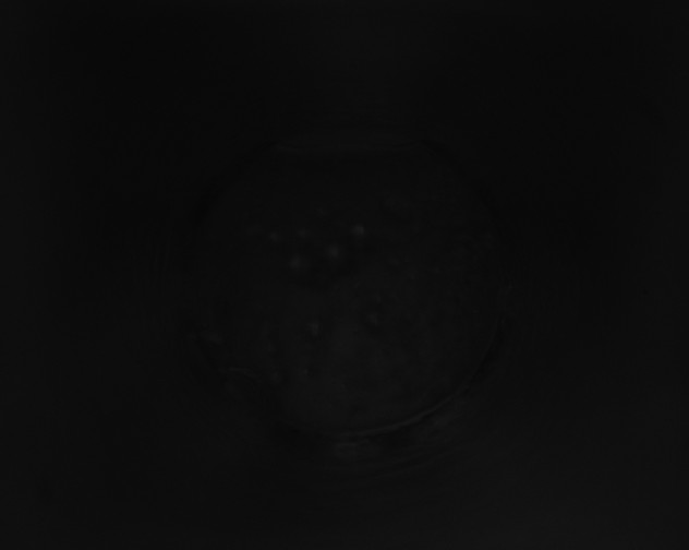 X0000115160277200911101756