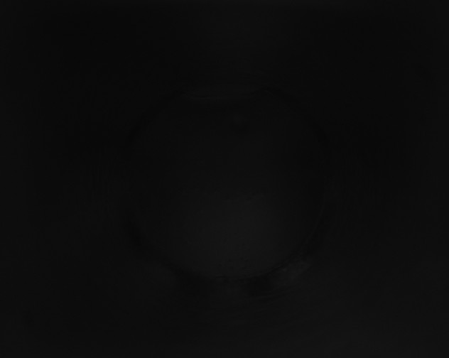 X0000115160280200911101756