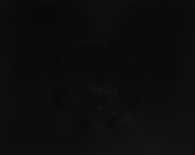 X0000115160284200911101756
