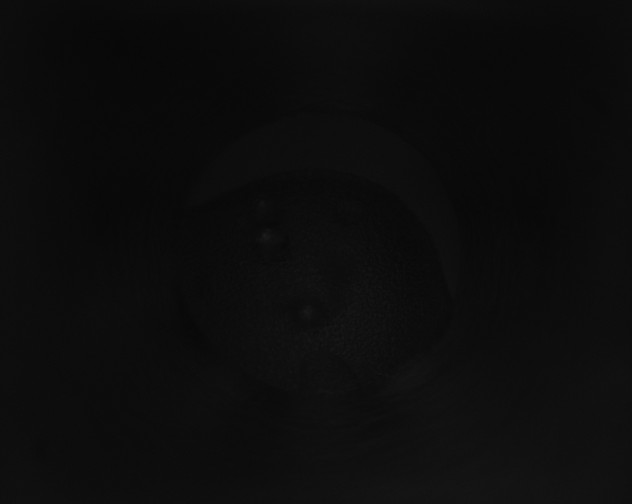 X0000115160285200911101756