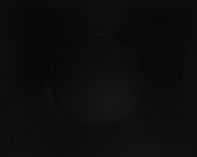 X0000115160289200911101756