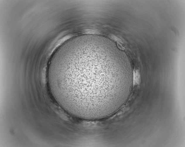 X0000115160291200911101756