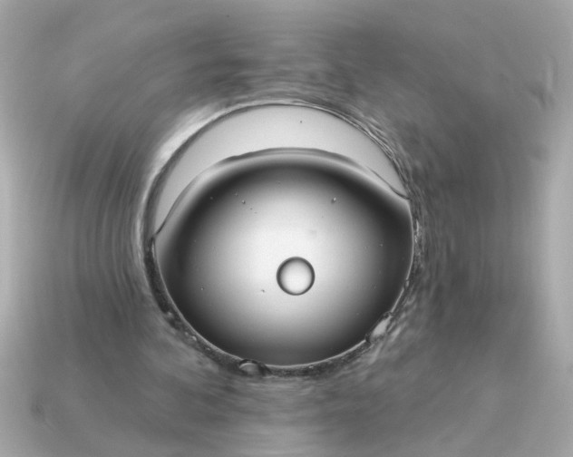 X0000115160292200911101756