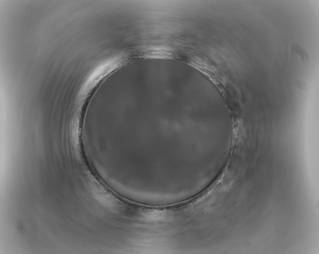 X0000115160293200911101756