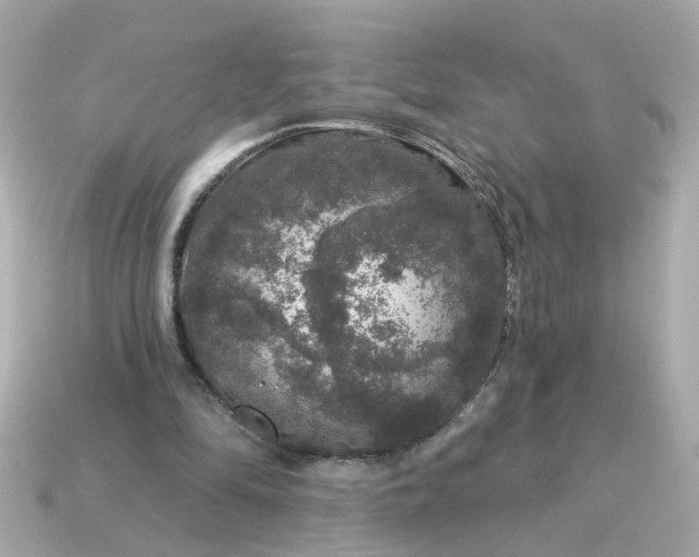 X0000115160294200911101756