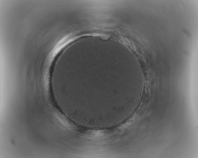 X0000115160295200911101756