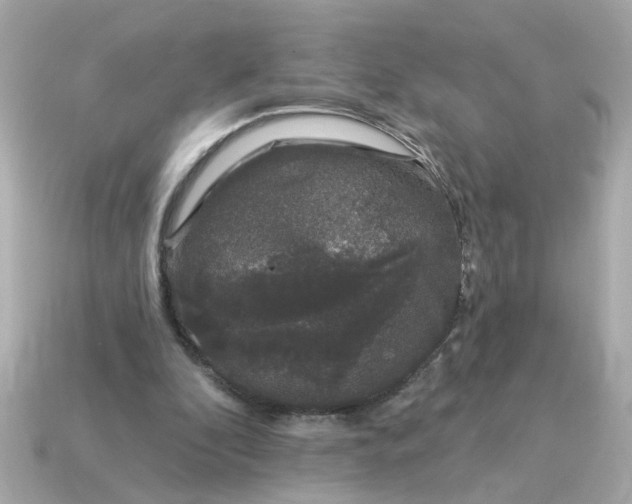 X0000115160296200911101756
