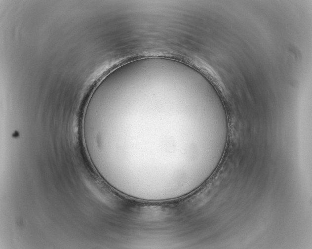 X0000115160298200911101756