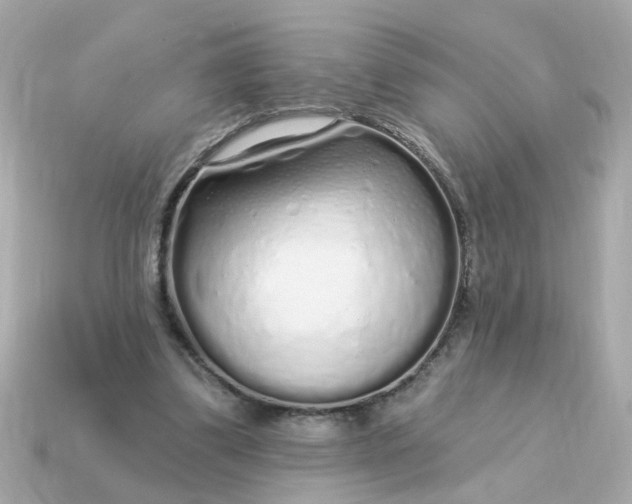 X0000115160299200911101756