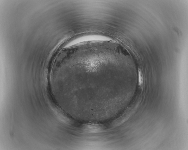 X0000115160300200911101756