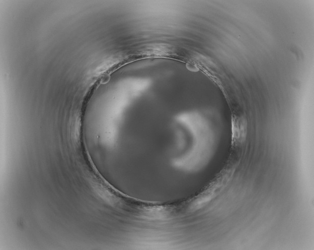 X0000115160301200911101756