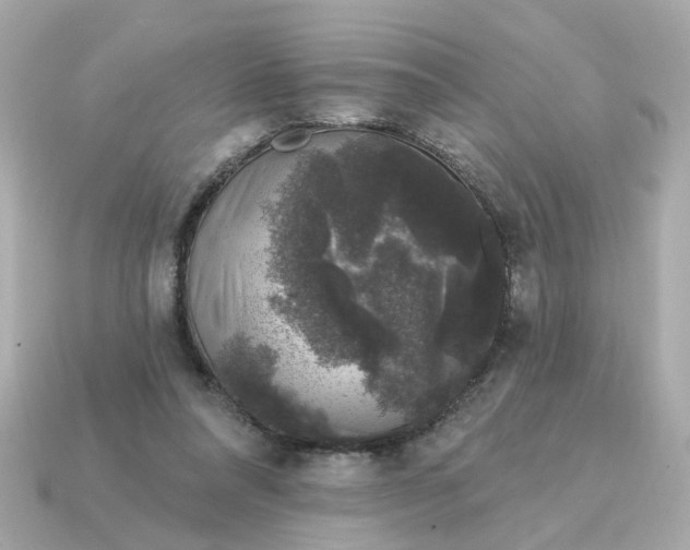 X0000115160304200911101756