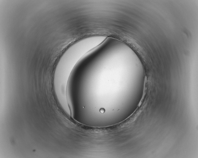X0000115160305200911101756