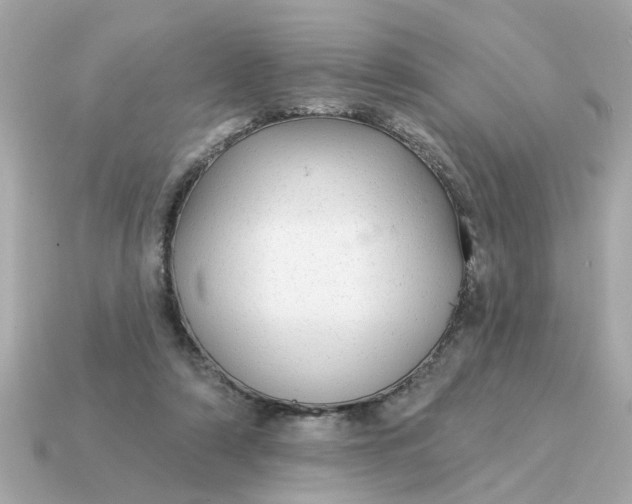 X0000115160306200911101755