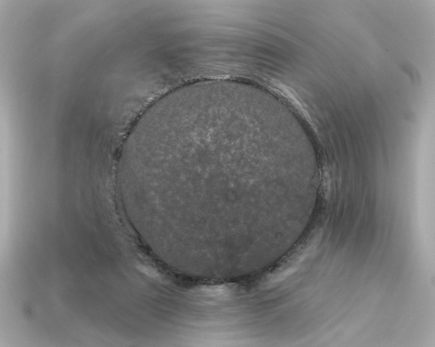 X0000115160307200911101755