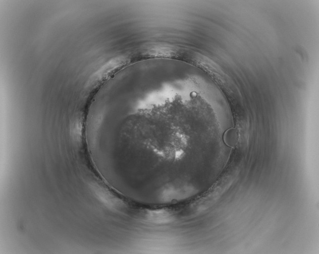 X0000115160309200911101755