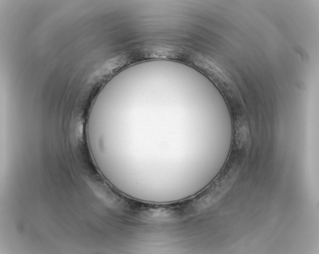 X0000115160310200911101755