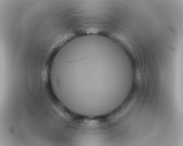 X0000115160311200911101755