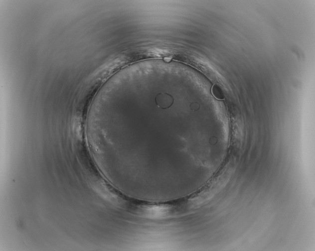 X0000115160313200911101755