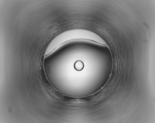 X0000115160316200911101755