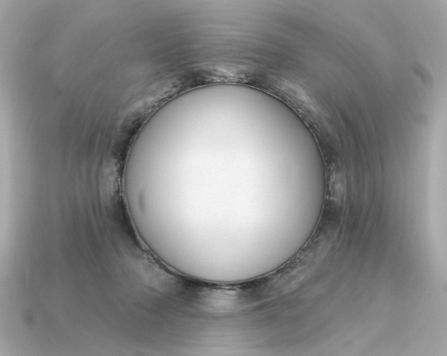 X0000115160318200911101755