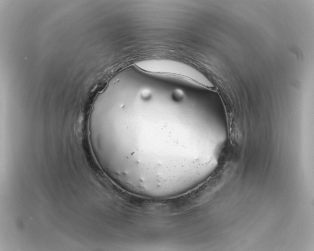 X0000115160319200911101755