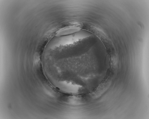 X0000115160320200911101755
