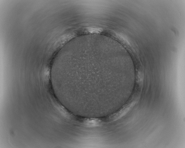 X0000115160321200911101755
