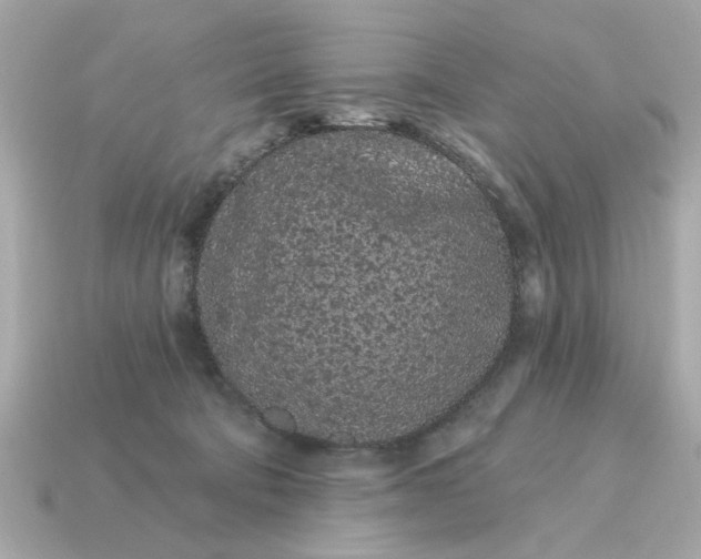 X0000115160322200911101755