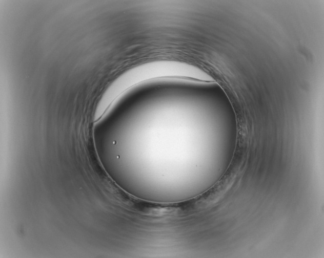 X0000115160323200911101755