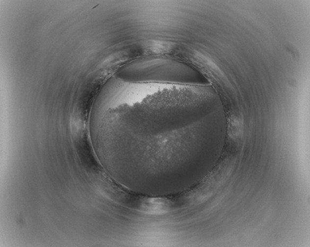 X0000115160324200911101755