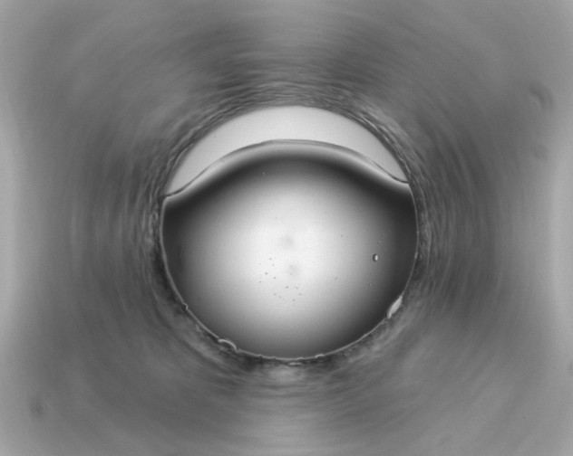 X0000115160325200911101755
