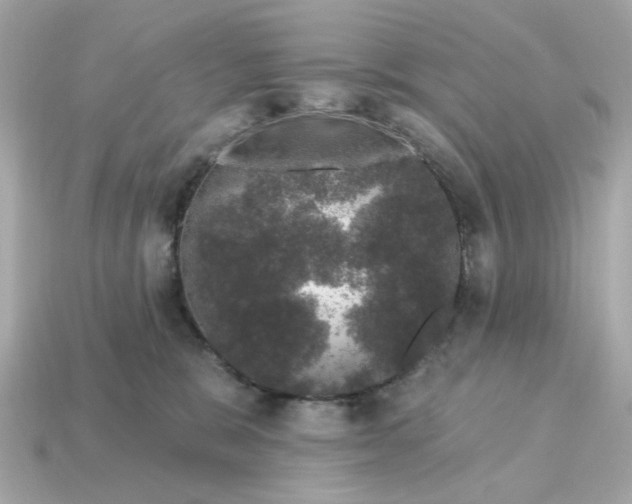X0000115160327200911101755