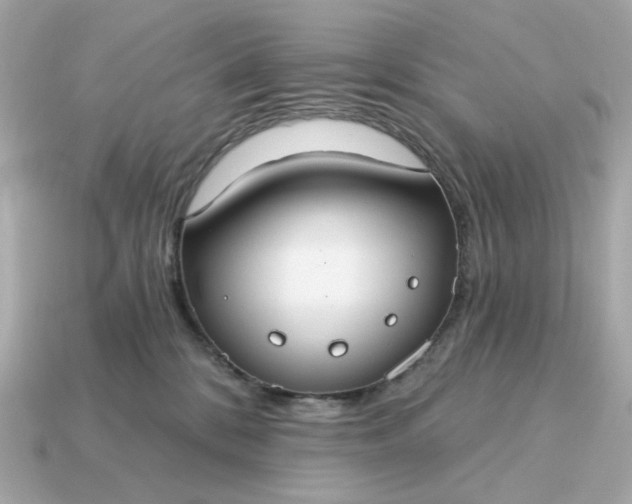 X0000115160328200911101755