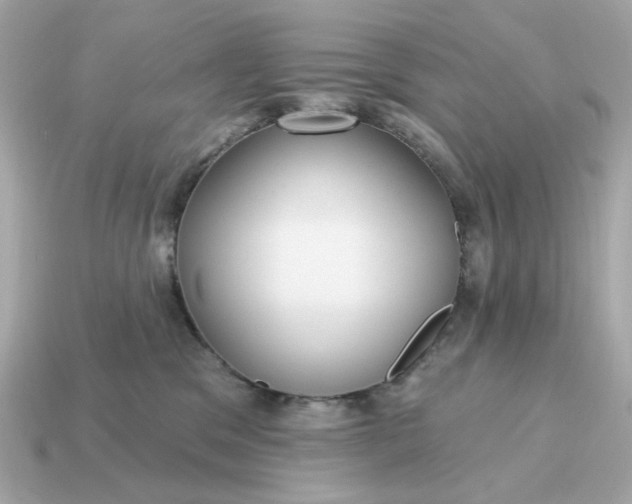 X0000115160329200911101755