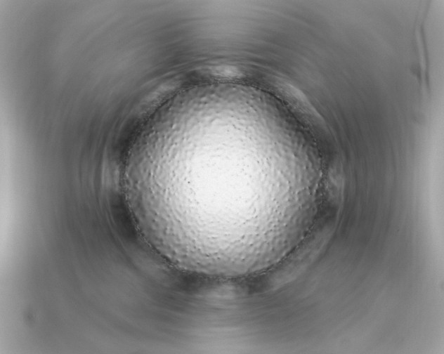 X0000115160330200911101755