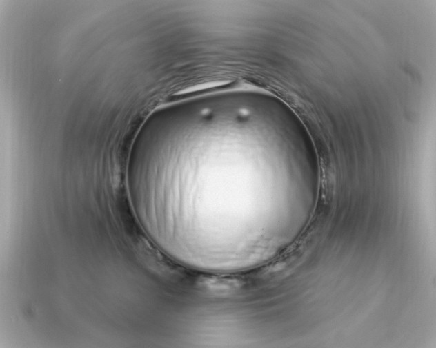 X0000115160331200911101755