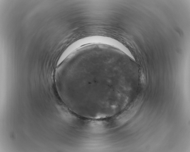 X0000115160332200911101755
