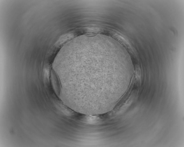 X0000115160333200911101755