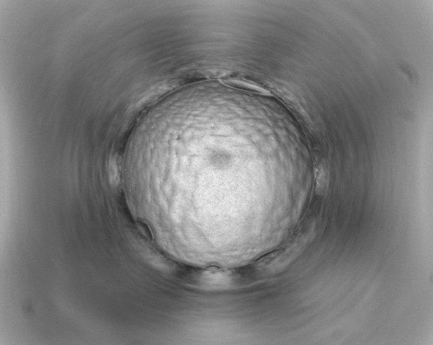 X0000115160335200911101755