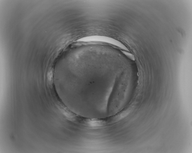 X0000115160336200911101755
