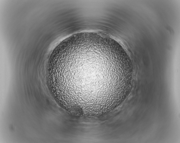 X0000115160337200911101754