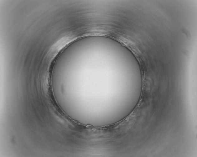 X0000115160338200911101755