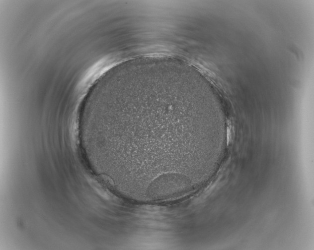 X0000115160339200911101755